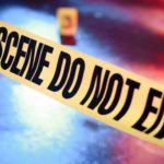 Minor drowns in pond