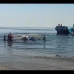 One last attempt to rescue stranded whale abandoned