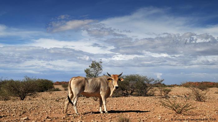 Expropriation of foreign-owned land to take 6 years