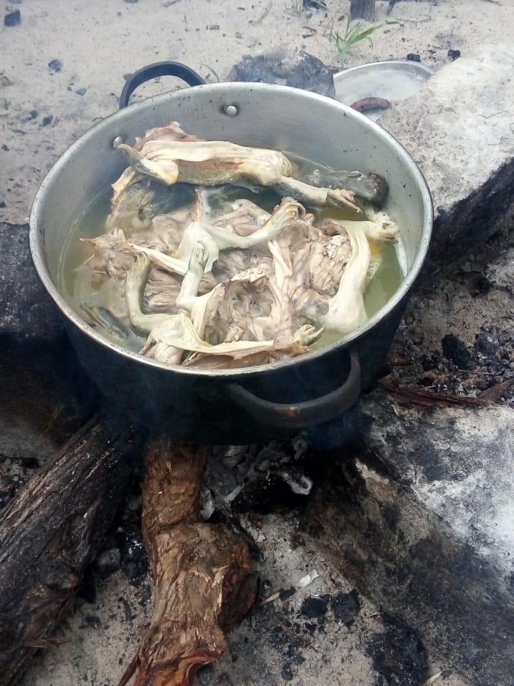 Frog comparable only to chicken