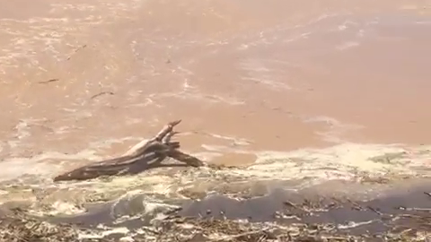 Orange River reaches the Atlantic