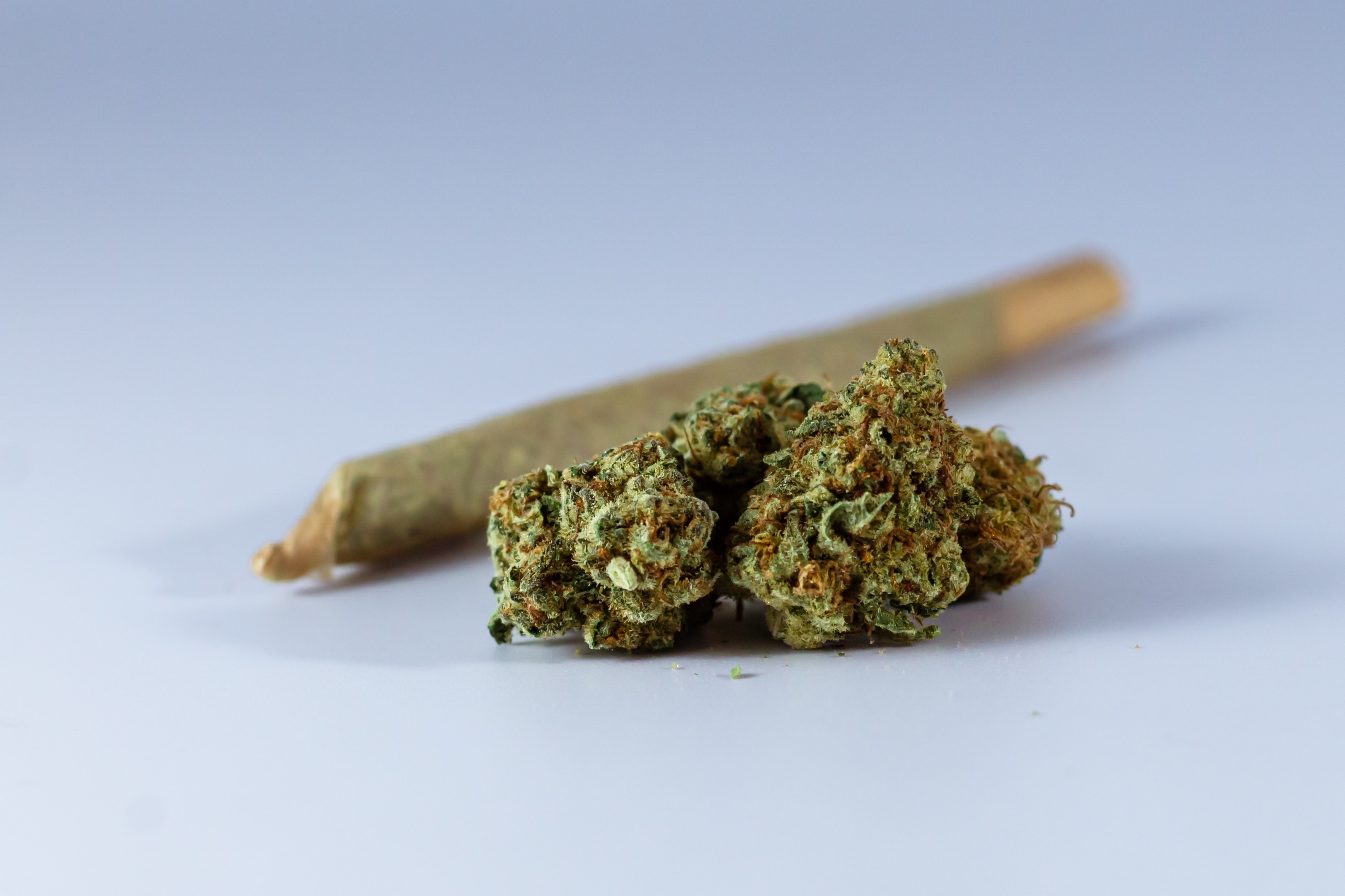 Police swoops in on cannabis crimes