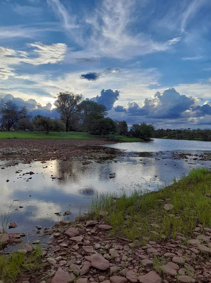 Wet weekend lying ahead