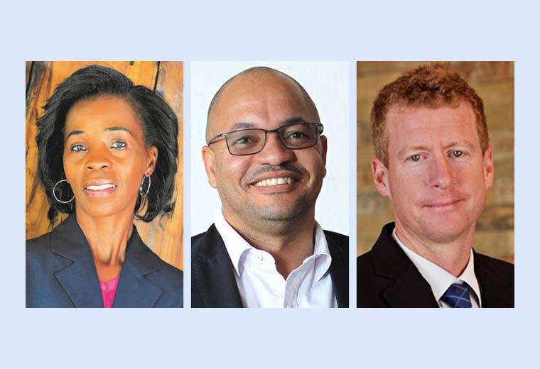 Air Namibia gets new board members