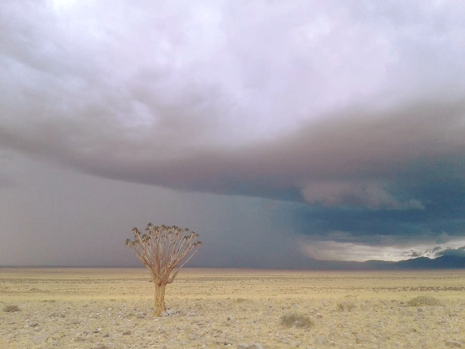 Good rainfall expected soon