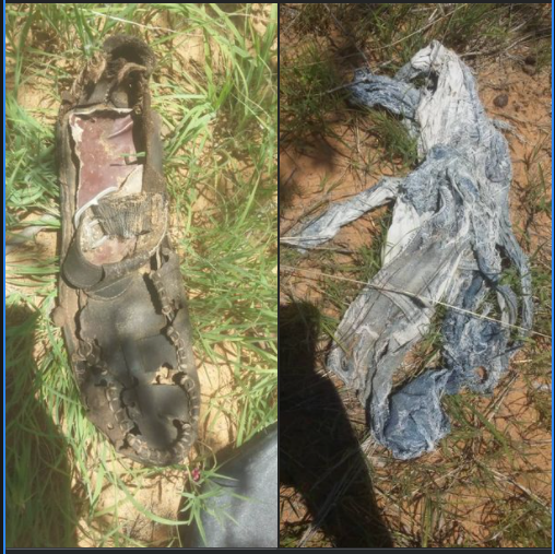 Human remains discovered