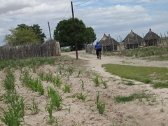 Siblings fight over a piece of land