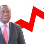 COVID-19 death toll rises above 2 000