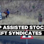 Cop assisted stock theft syndicates