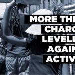 More theft charges levelled against activist