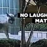 No laughing matter