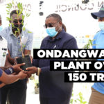 Ondangwa to plant over 150 trees