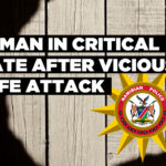 Woman in critical state after vicious knife attack