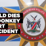 Child dies in donkey cart accident