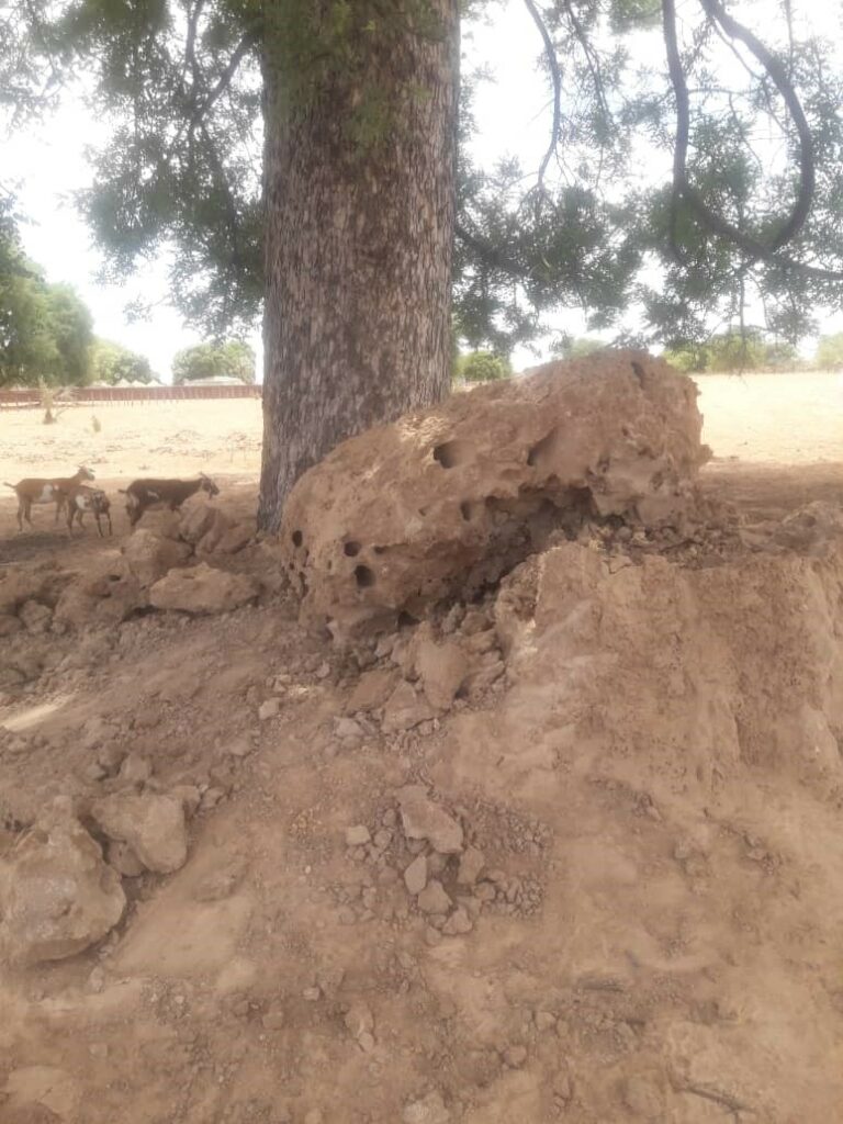 Johannes Nghilifavali died anthill Onembaba village Okalongo Omusati