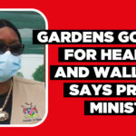 Gardens good for health and wallet, says prime minister