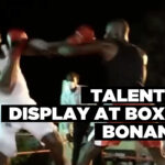 Talent on display at boxing bonanza
