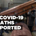 13 Covid-19 deaths reported