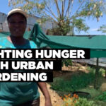 Fighting hunger with urban gardening