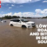 Löwen roars and bites in deep South