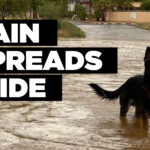 Rain spreads wide