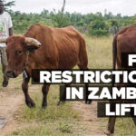 FMD restrictions in Zambezi lifted