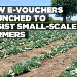 New e-vouchers launched to assist small-scale farmers