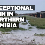 Exceptional rain in northern Namibia