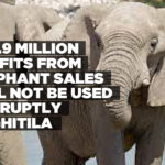 N$5.9 million profits from elephant sales will not be used corruptly – Nghitila