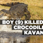 Boy (9) killed by crocodile in Kavango