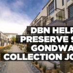 DBN helped preserve 950 Gondwana Collection jobs