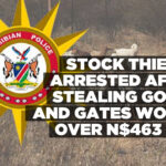 Stock thieves arrested after stealing goats and gates worth over N$463 000