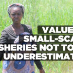 Value of small-scale fisheries not to be underestimated