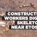 Construction workers dig up skeletons near Etosha
