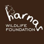 Harnas owner says she is ready for defence against conservation charges