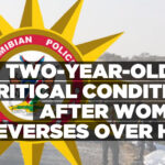 Two-year-old in critical condition after woman reverses over her