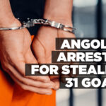 Angolan arrested for stealing 31 goats