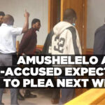 Amushelelo and co-accused expected to plea next week