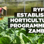 RYF to establish a horticulture programme in Zambezi