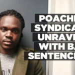 Poaching syndicate unravels with Babi sentencing