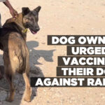 Dog owners urged to vaccinate their dogs against rabies