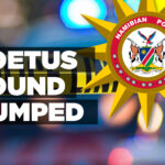 Foetus found dumped