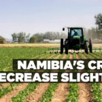 Namibia’s crop decrease slightly