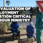 Re-evaluation of employment creation critical – Labour ministry