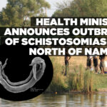 Health ministry announces outbreak of Schistosomiasis in North of Namibia