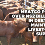 Meatco pays over N$2 billion in debt to maintain livestock supply