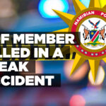 NDF member killed in a freak accident