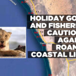 Holiday goers and fishermen cautioned against roaming coastal lions