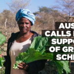 Ausiku calls for support of Green Scheme