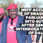 NEFF accused of dragging parliament into gutter after Gender interrogations of Dausab